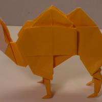 Camel
