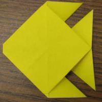 Multiform Fish