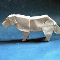 Golden retreiver