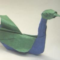 Little Miss Duck
