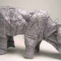 Baby Rhinoceros