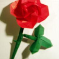 Rose Stem for Rose by Kawasaki