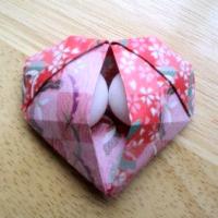 Pocket Heart