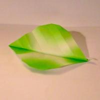Leaf