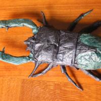 Lucanus