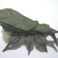 Leaf Insect