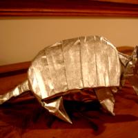 armadillo