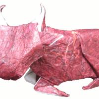 ox