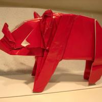 Rhino
