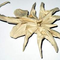 alien facehugger