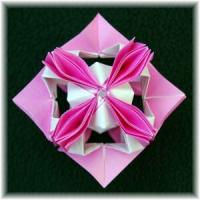 Infiny Variation