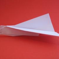 Single-Seat Flat-Body Delta Craft (Type A)