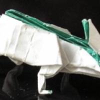 Chameleon (CP)