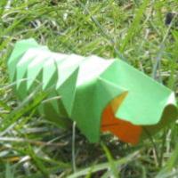 Caterpillar