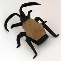 Cockroach