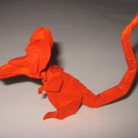 Rat (video & pdf)