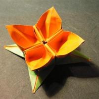 Blossoming Flower