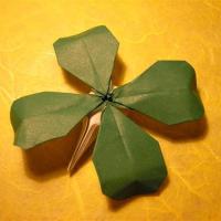 Clover