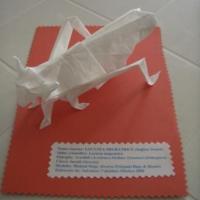 Migratory Locust