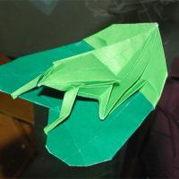 Frog on a Leaf