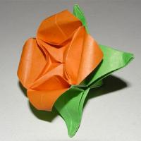 Flower 2