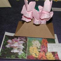 Flower 3