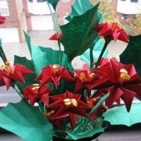 Xmas Origami Pointsettias