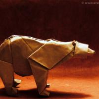 Polar Bear
