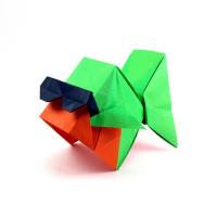 GoldFish Type Square