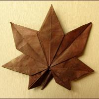 Maple Leaf