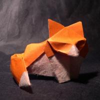 Fox cub