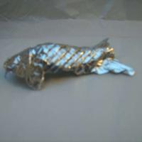 Dollar Koi Fish