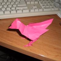 Bird