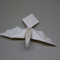 Dove