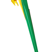Macaw