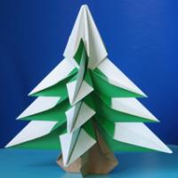 Fir tree