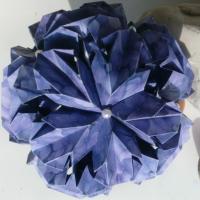 Chrysanthemum Ball