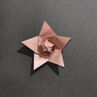 Seed Star