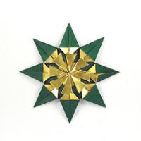 Snow Flake v. 1