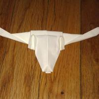 Longhorn Cow Skull