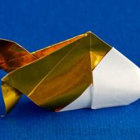 Goldfish