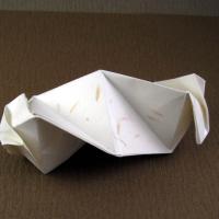 Fujimoto Tube Box