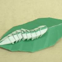 Caterpillar on a Leaf