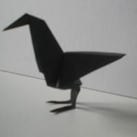 Raven