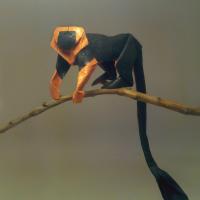 Lionhead tamarin