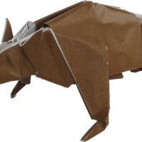 Anteater