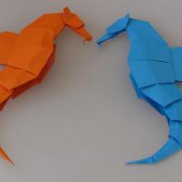 Seahorse
