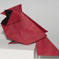 Northern cardinal