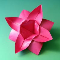Eight Petaled Flower