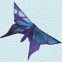 A Butterfly for Guy Kawasaki